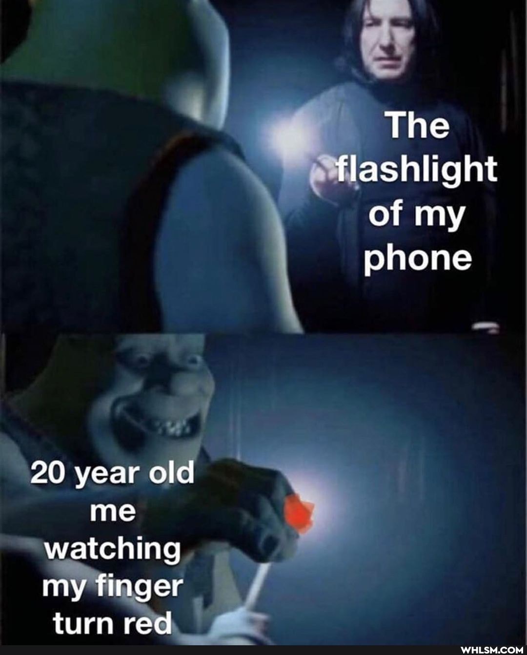 The flashlight of my phone
20 year old me watching my finger turn red