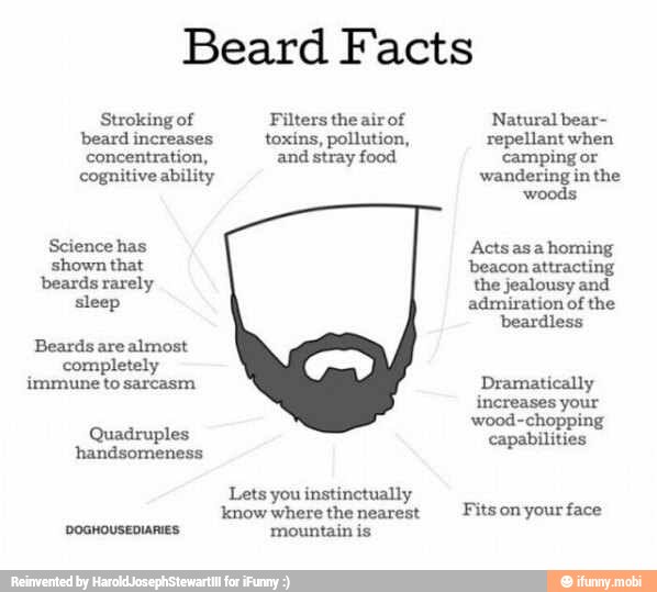 Beard Facts
wood-chopping
Quadruples
AOS PIN
concentration, Po E
capabilities
Lets you instinctually
Fitsonyour face