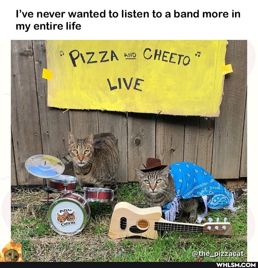I've never wanted to listen to a band more in my entire life
VIVE
wi77acat