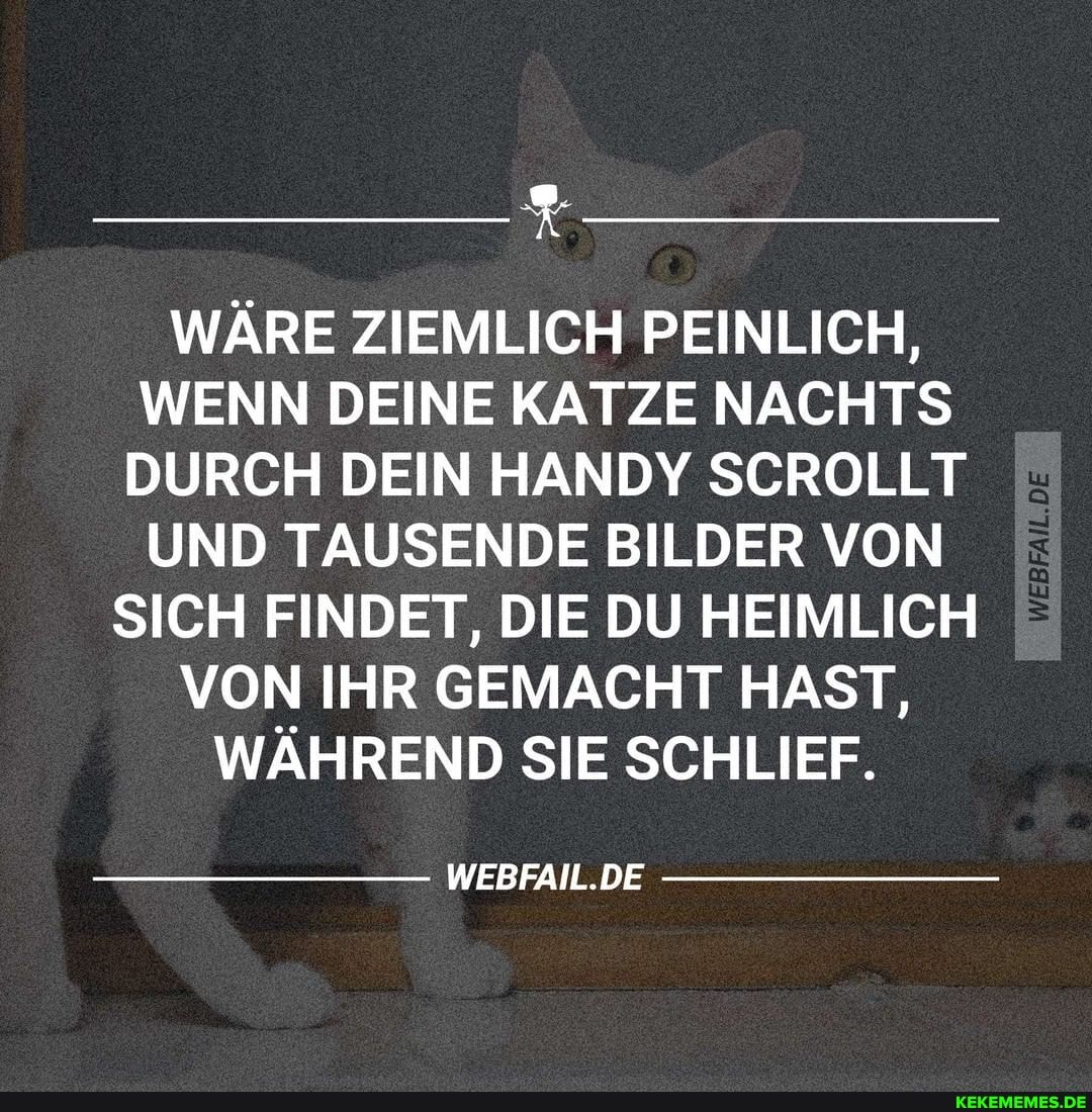 WÄRE ZIEMLICH PEINLICH,
WENN DEINE KATZE NACHTS DURCH DEIN HANDY SCROLLT UND TAUSENDE BILDER VON
SICH FINDET, DIE DU HEIMLICH
VON IHR GEMACHT HAST,
WÄHREND SIE SCHLIEF.
WEBFAIL.DE