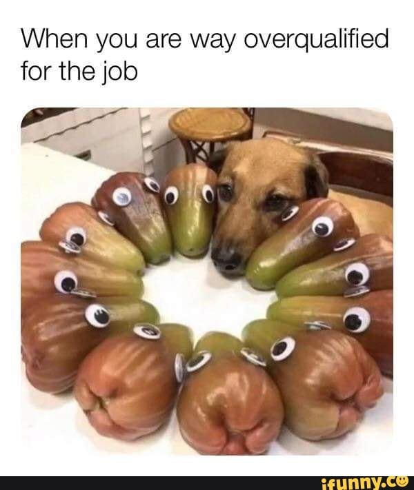 When you are way overqualified
for the job