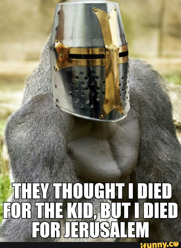 harambe, crucader, crucaders, jerusalem, cringe