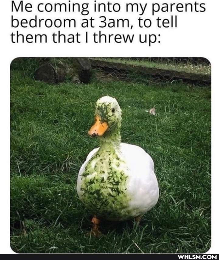 Sometimes, amongst all the angry posts, politics, global warming and ...