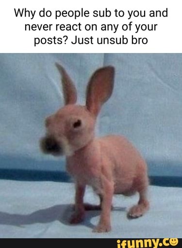 Why do people sub to you and never react on any of your
posts? Just unsub bro