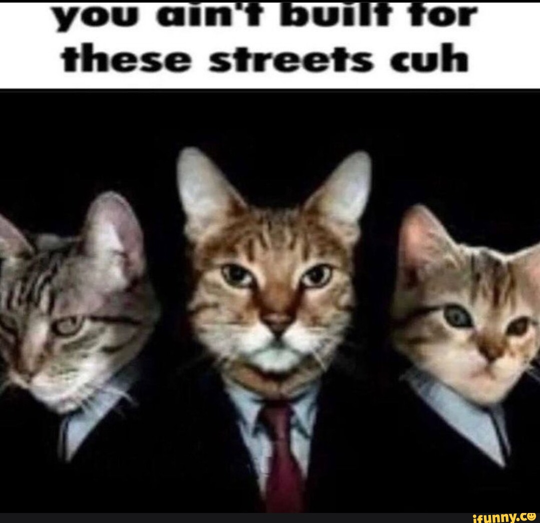 You ain err these streets cuh in - iFunny