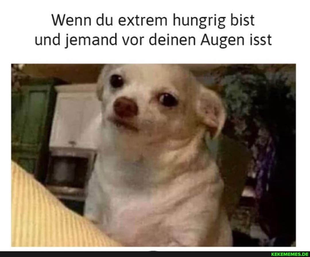Wenn du extrem hungrig bist und jemand vor deinen Augen isst