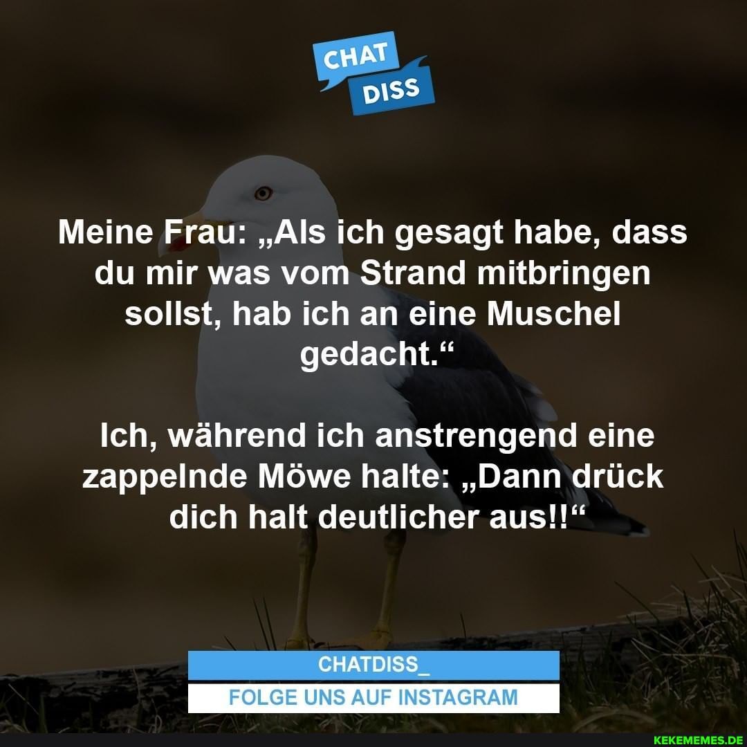 Meine Frau: "Als ich gesagt habe, dass du mir was vom Strand mitbringen sollst, hab ich an eine Muschel gedacht."
Ich, während ich anstrengend eine zappelnde Möwe halte: "Dann drück dich halt deutlicher aus!"
CHATDISS_
FOLGE UNS AUF INSTAGRAM