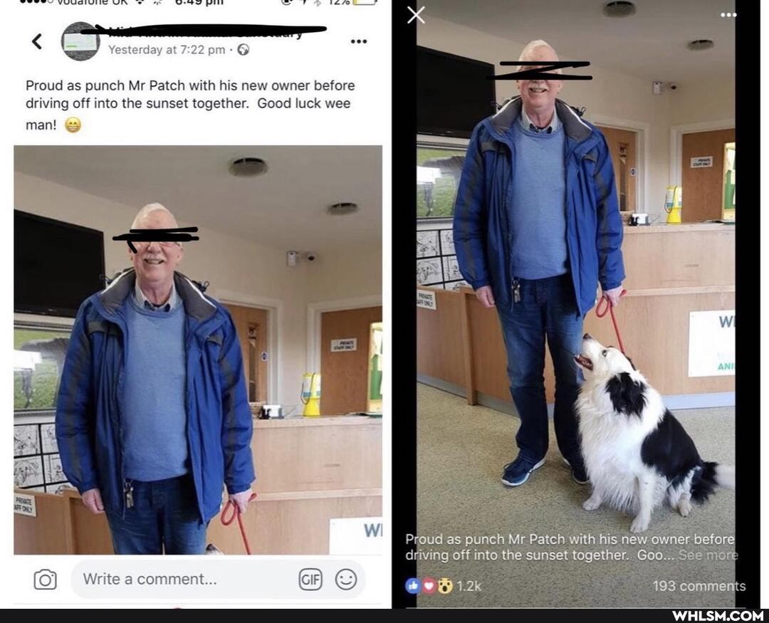 at am
Proud as punch Mr Patch with his new owner before driving off into the sunset together. Good luck wee
man!
Proud as punch Mr Patch with his new owner before driving off into the sunset together. Goo... See more
Write a comment... 1.2k 193 comments