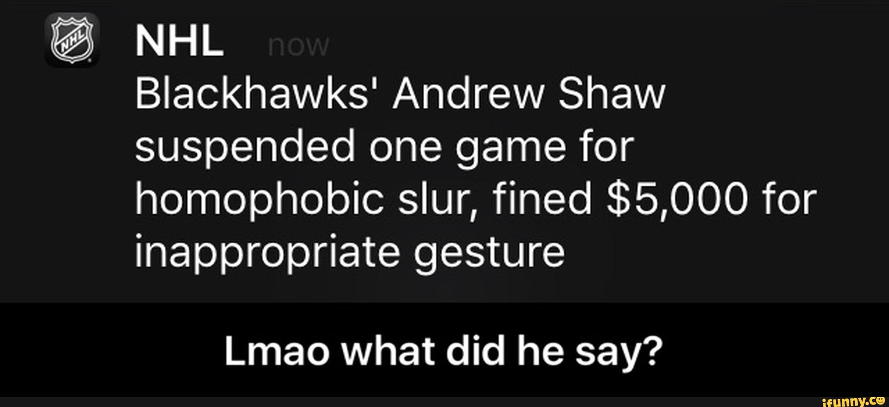 Blackhawks' Andrew Shaw
suspended one game for
homophobic slur, fined $5,000 for
inappropriate gesture
Lmao what did he say? - Lmao what did he say?