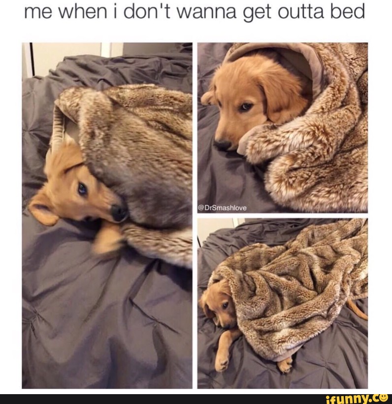 Me When I Don T Wanna Get Outta Bed Ifunny