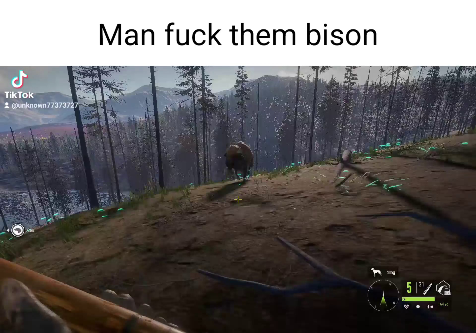 Man fuck them bison TikTok I - iFunny