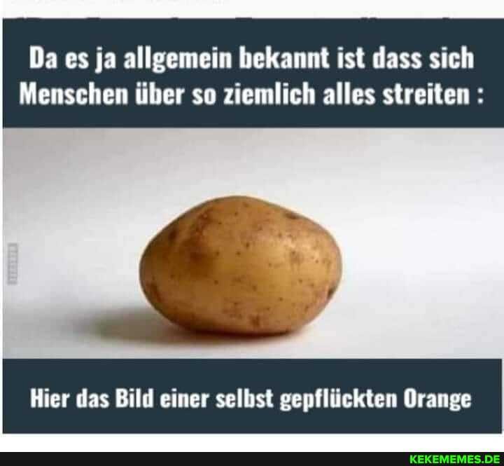 Da es ja allgemein bekannt ist dass sich
Menschen über so ziemlich alles streiten :
Hier das Bild einer selbst gepflückten Orange