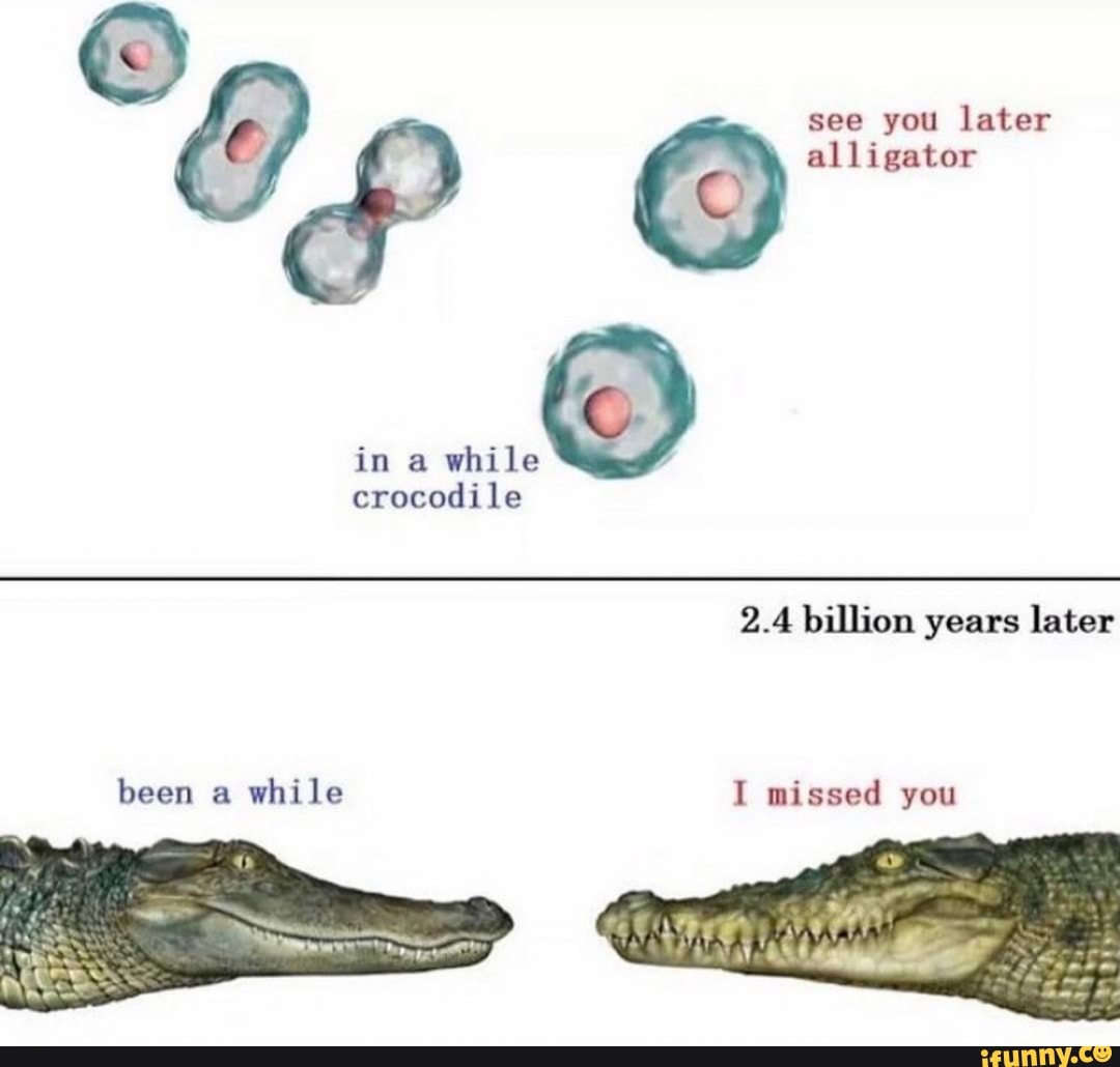 See You Later Alligator In A While Crocodile 2 4 Billion Years Later Been A While I Missed You