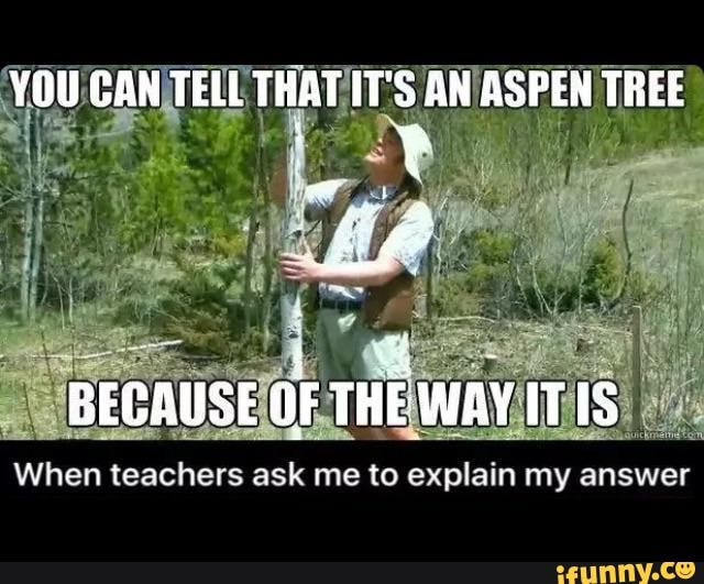 You Can Tell That It S An Aspen Tree Because Of The Way Itis When Teachers Ask Me To Explain My Answer
