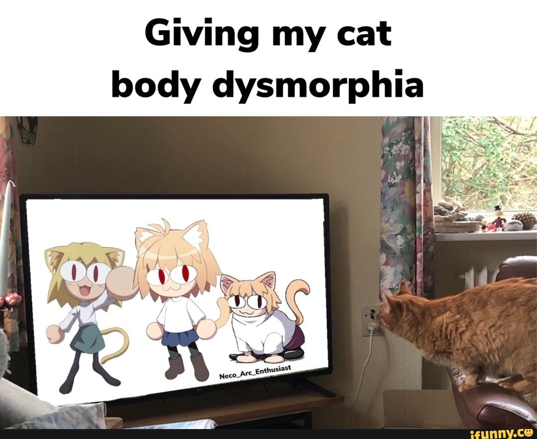 Giving my cat body dysmorphia iFunny