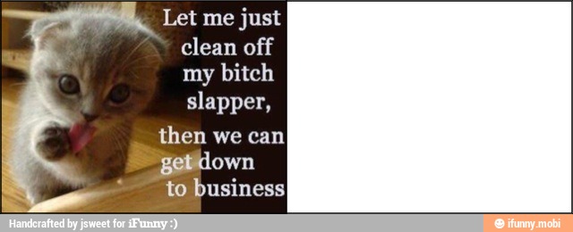 Let me just
clean off
my bitch
slapper,
then we can
getdown
to business