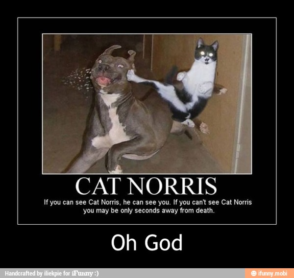 CAT NORRIS
Ifyou can see Cat Norris, he can see you. If you can't see Cat Norris
you may be only seconds away from death.
Oh God - Oh God