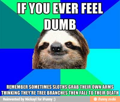 REMEMBER SOMETIMES SLOTHS/GRAB)THEIRIOWN/ARMS)