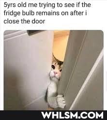 Syrs old me trying to see if the fridge bulb remains on after i close the door