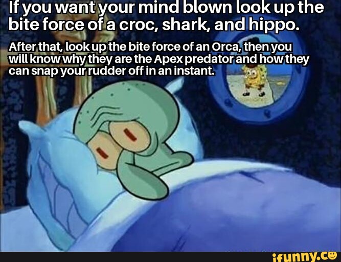 Rudder memes. Best Collection of funny Rudder pictures on iFunny