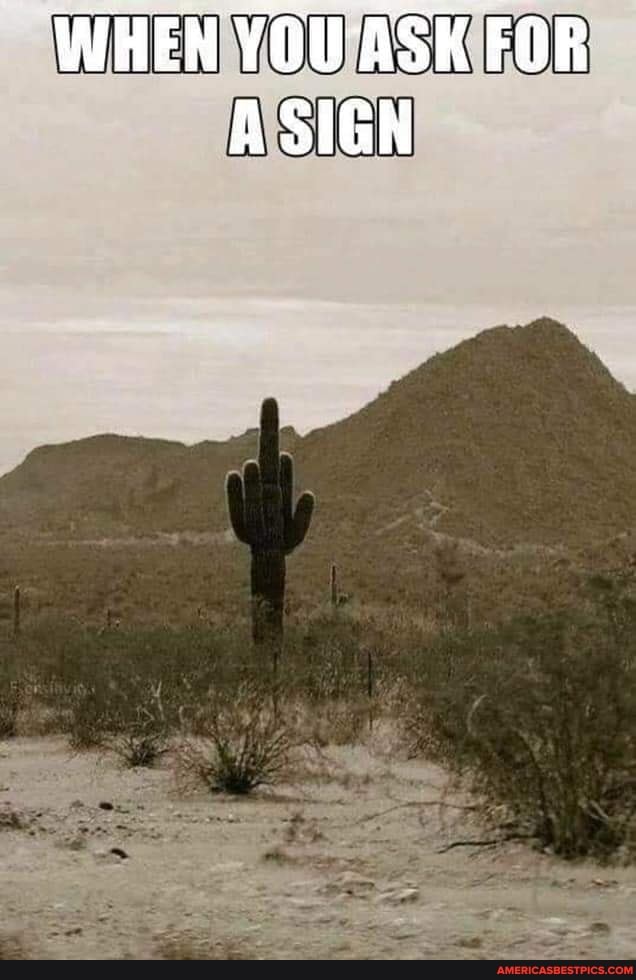 WHEN YOU'ASK FOR SIGN
ir