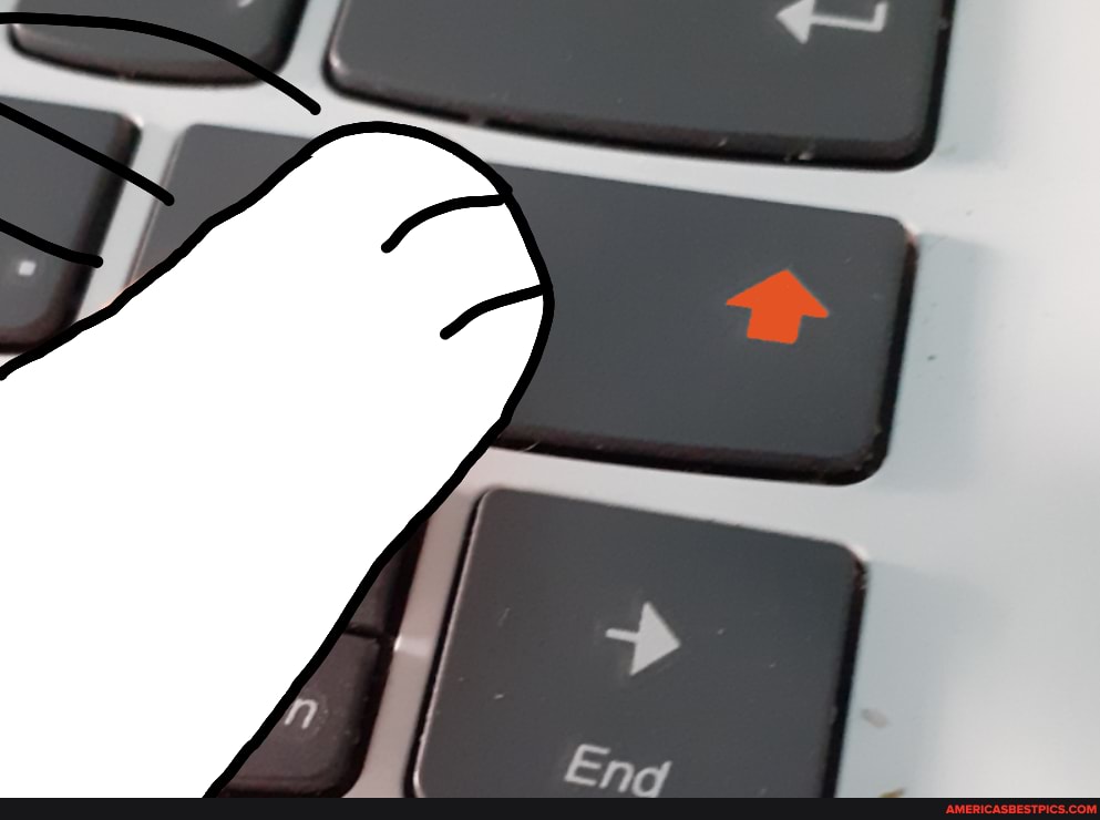 cat, smashing, upvote, button