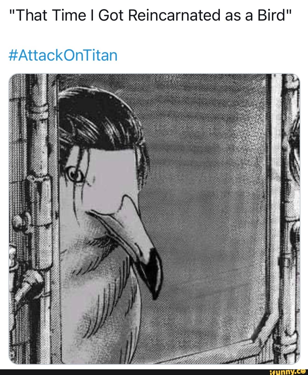 "That Time I Got Reincarnated as a Bird"
tan