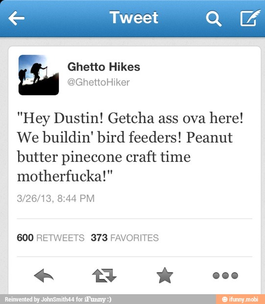 € Tweet QUE
"Hey Dustin! Getcha ass ova
here!
We buildin' bird feeders! Peanut
butter pinecone craft time
motherfucka!"
600 RETWEETS 373 FAVORITES