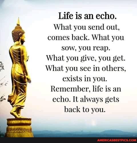 Life is an echo.
What you send out, comes back. What you sow, you reap.
What you give, you get.
What you see in others, exists in you.
Remember, life is an echo. It always gets back to you.
