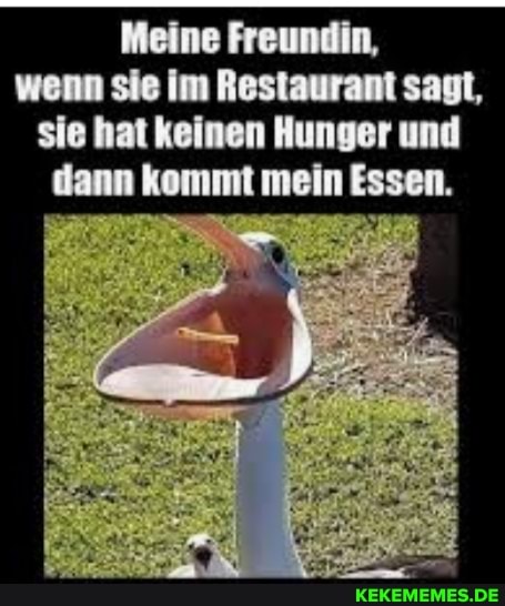 Meine Freundin, wenn sie im Restaurant sagt, sie hat keinen Hunger und dann kommt mein Essen.