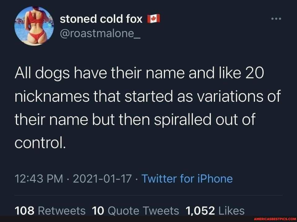 Stoned cold fox @roastmalone_ All dogs have their name and like 20 ...