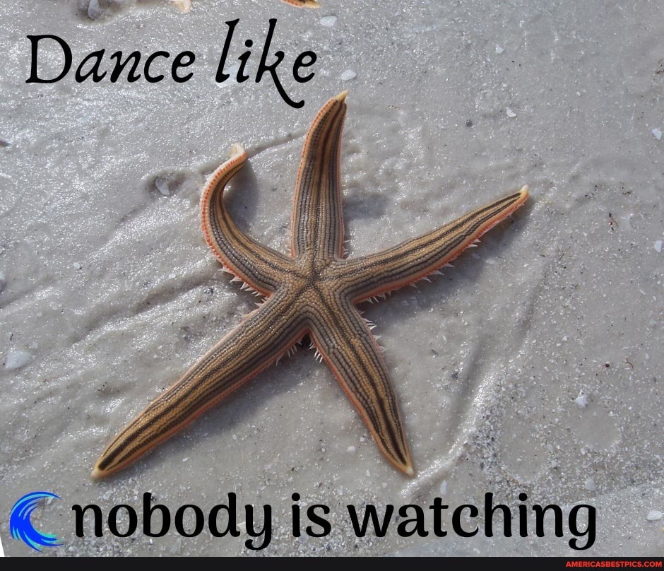Dance like
nobodu is watching