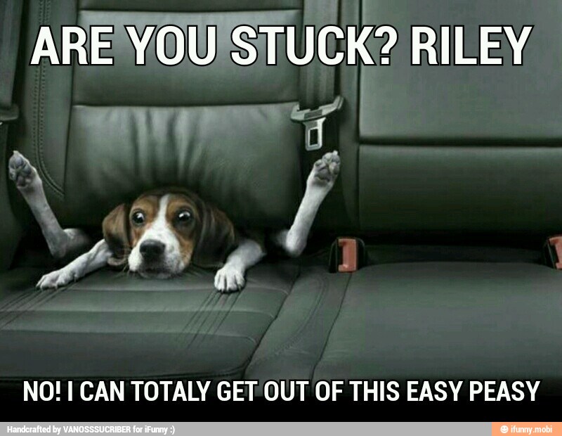 NO! I CAN TOTALY GET OUT OF THIS EASY PEASY