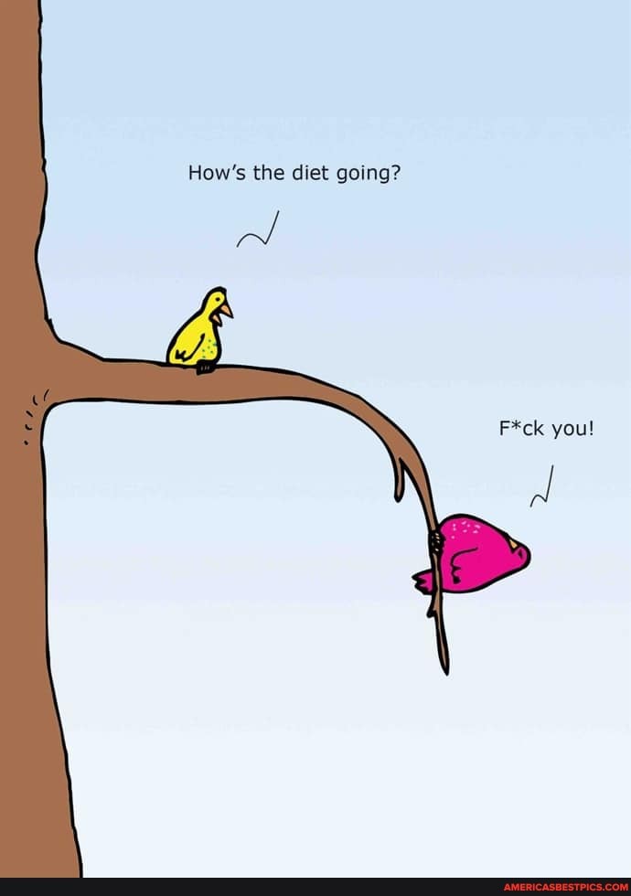 How's the diet going?