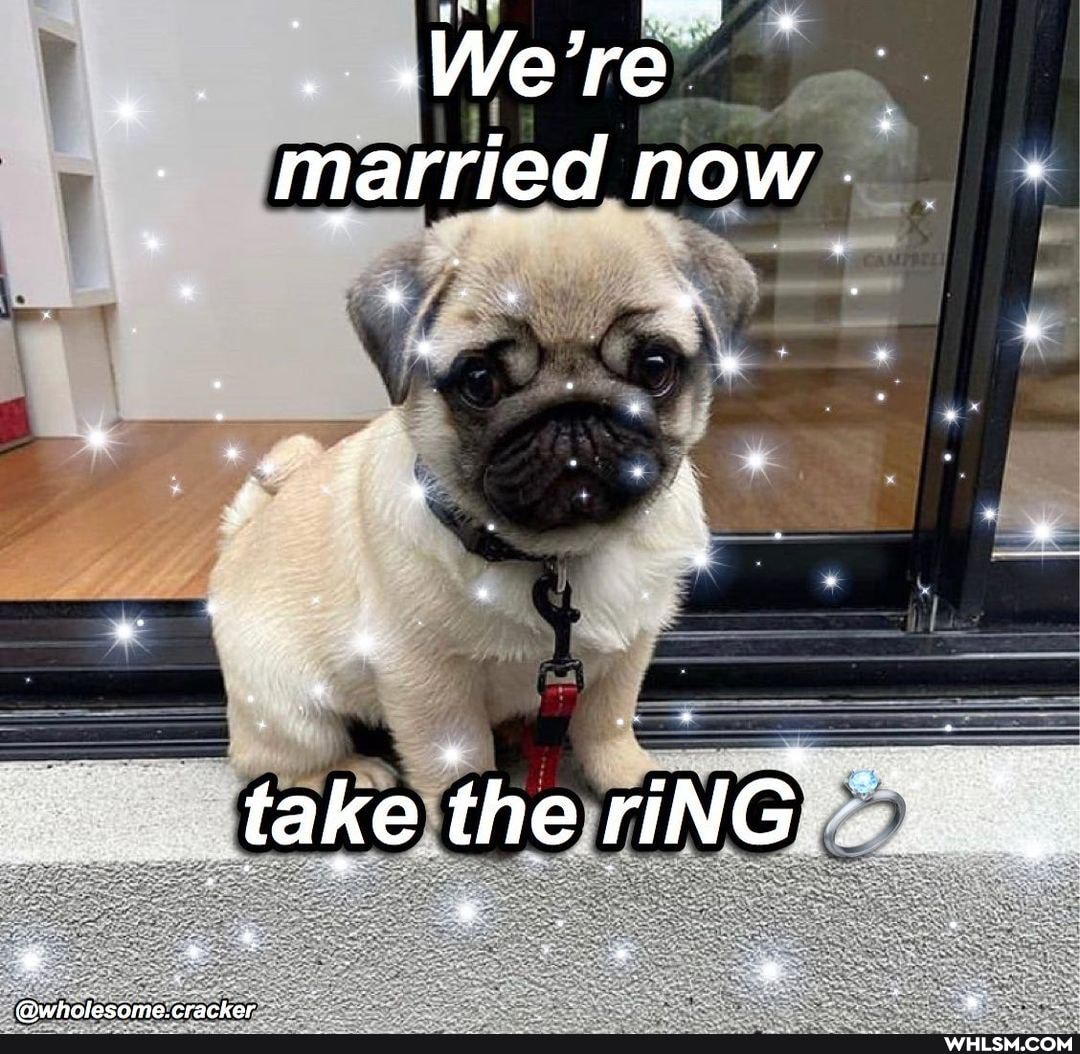 We' married now
take the riNG