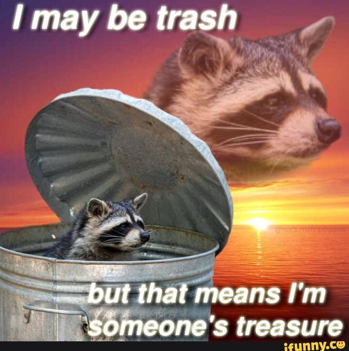 may be trash
but that means I'm someone's treasure