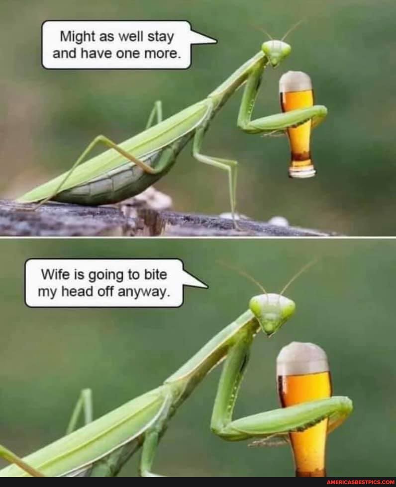 Might as well stay and have one more.
Wite Is going tto bite my head off anyway.