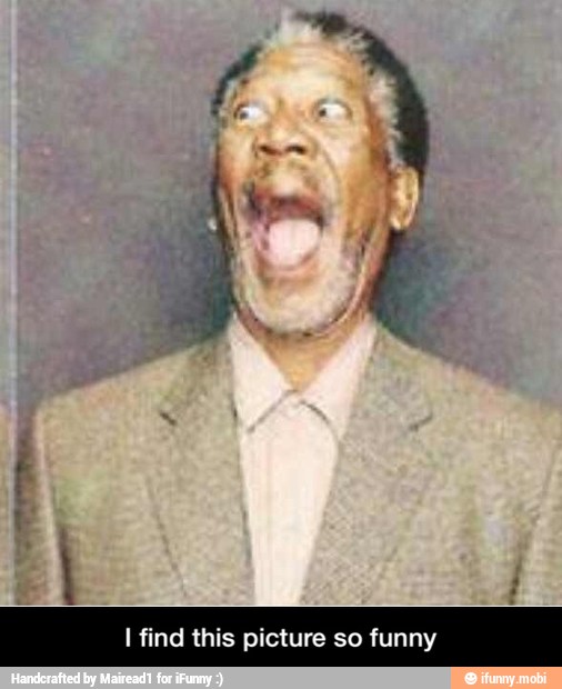 I find this picture so funny - I find this picture so funny