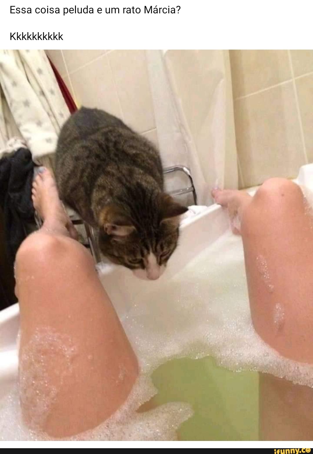Essa coisa peluda e um rato Márcia?
Kkkkkkkkkk