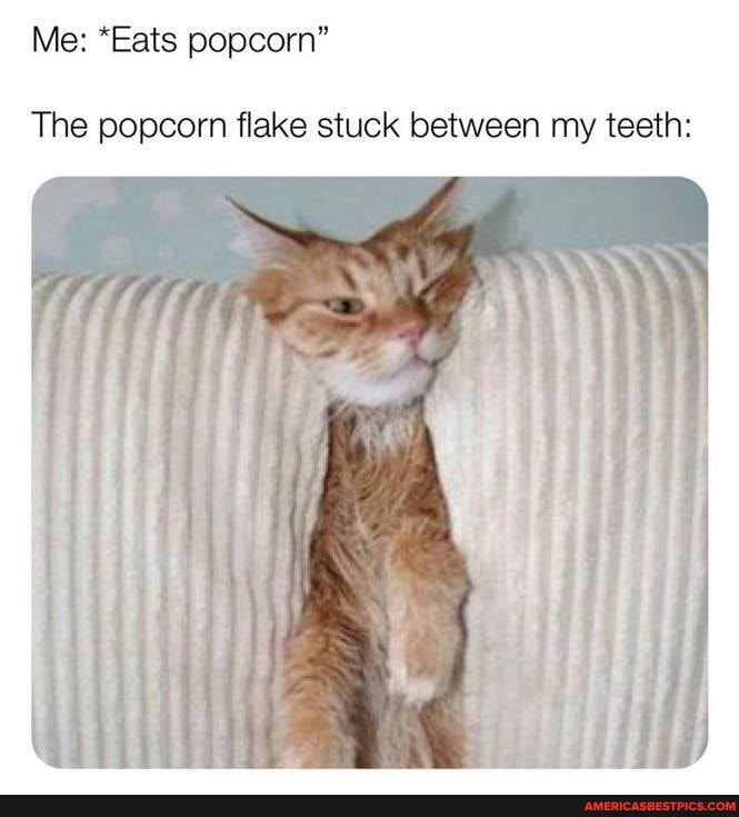 Me: *Eats popcorn"
The popcorn flake stuck between my teeth: