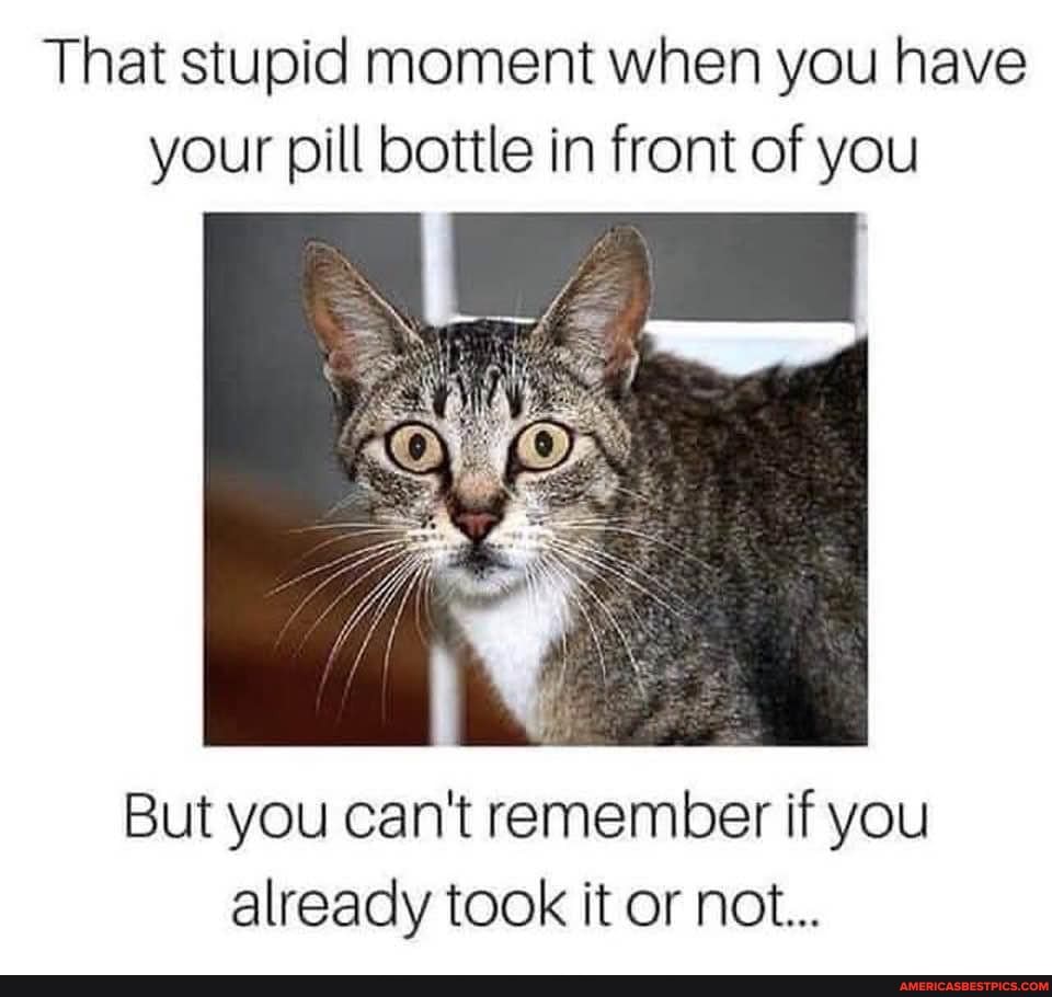That stupid moment when you have your pill bottle in front of you
But you can't remember if you already took it or not...