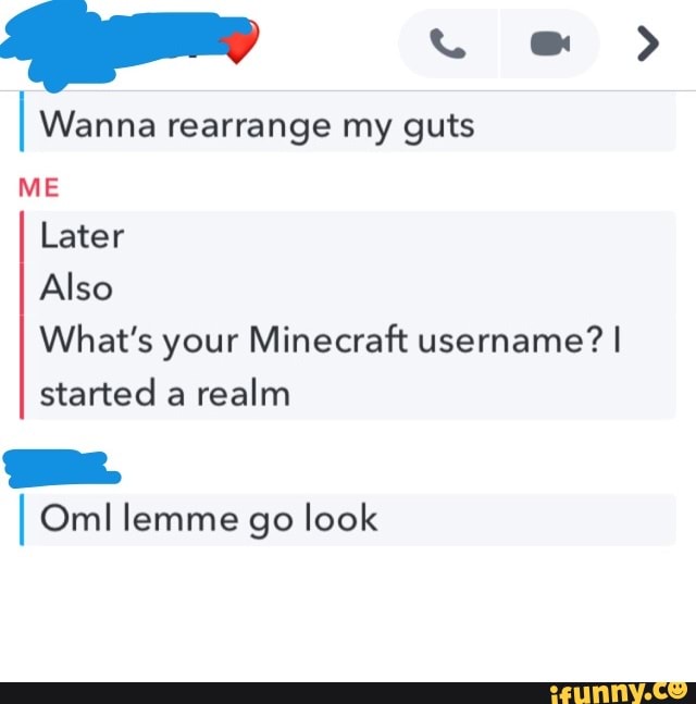 I Wanna rearrange my guts Later Also What's your Minecraft username? I ...