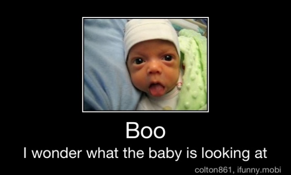 Boo
I wonder what the baby is looking at - Boo
I wonder what the baby is looking at