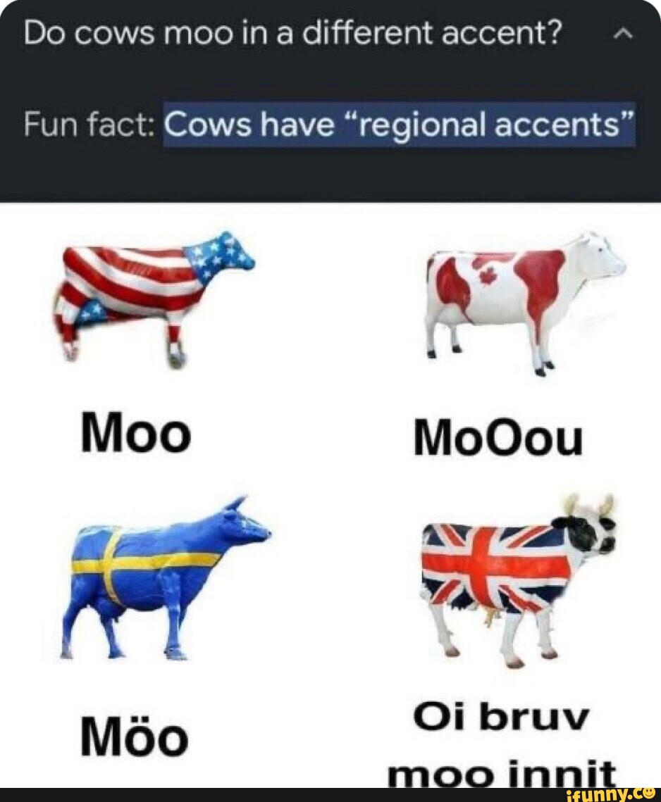 Fun fact: Cows have "regional accents" MoOou Oi bruv moo innit Mo...