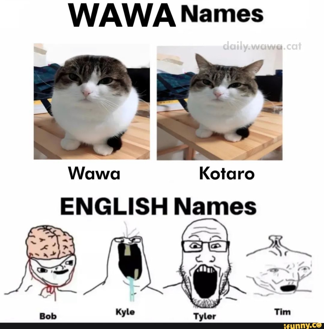 WAWA Names I I Wawa Kotaro ENGLISH Names (ZS) iFunny