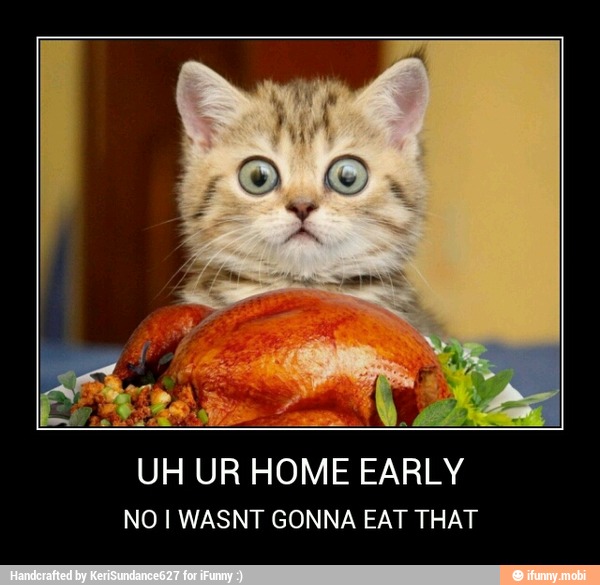 UH UR HOME EARLY
NO I WASNT GONNA EAT THAT - UH UR HOME EARLY
NO I WASNT GONNA EAT THAT