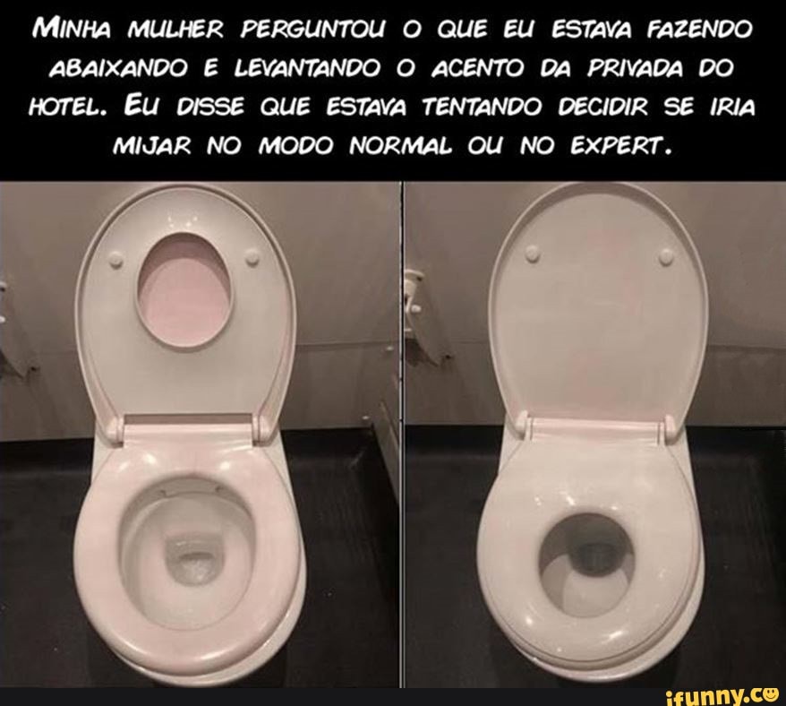 MiNHa MULHER PERGUNTOU O QUE EU ESTAVA FAZENDO ABAIXANDO E LEVANTANDO O ACENTO DA PRIVADA DO HOTEL. EU DISSE QUE ESTAVA TENTANDO DECIDIR SE IRIA MIJAR NO MODO NORMAL OU NO EXPERT.