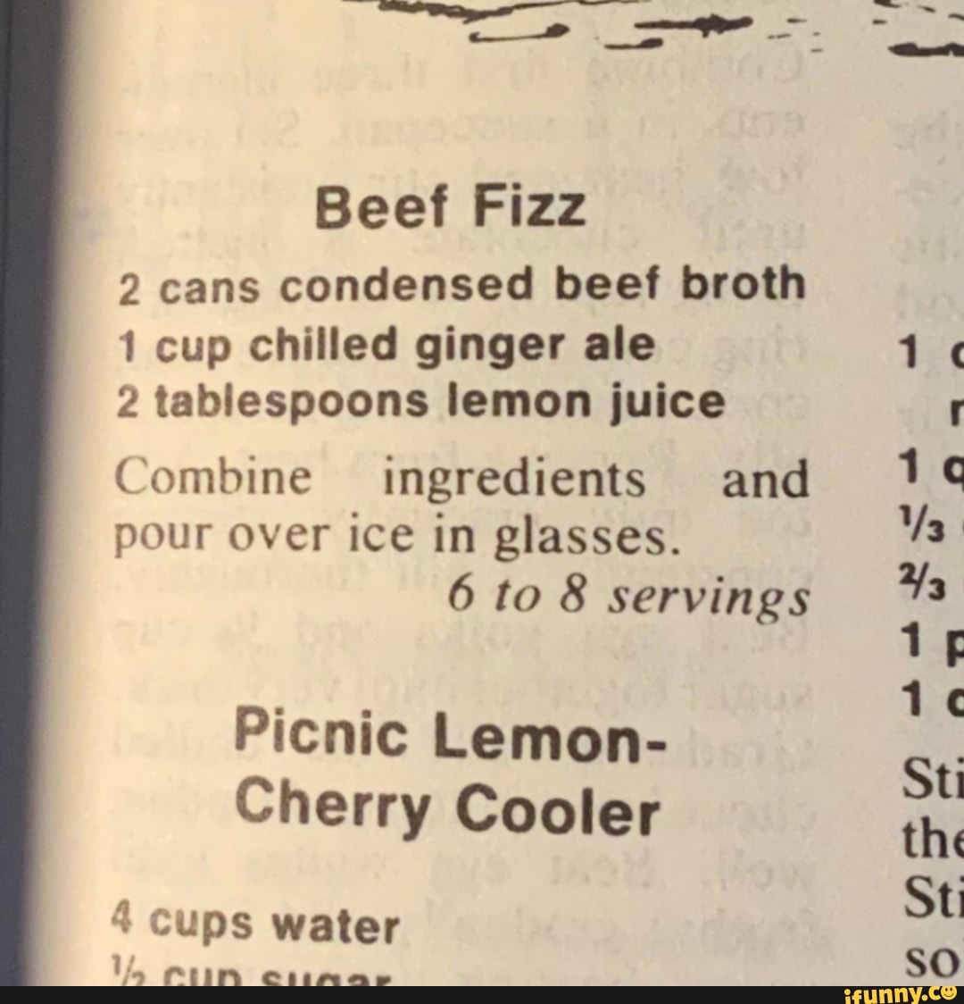 Beef Fizz 2 cans condensed beef broth 1 cup chilled ginger ale 2
