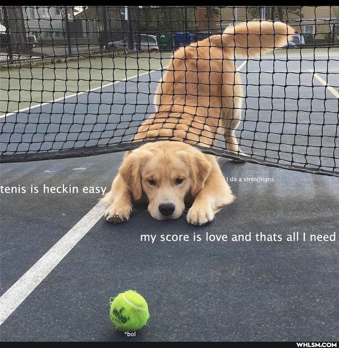 tenis is heckin easy
my score is love and thats all need