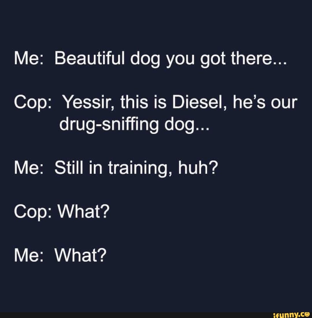 Me Beautiful dog you got there... Cop Yessir, this is Diesel, he’s